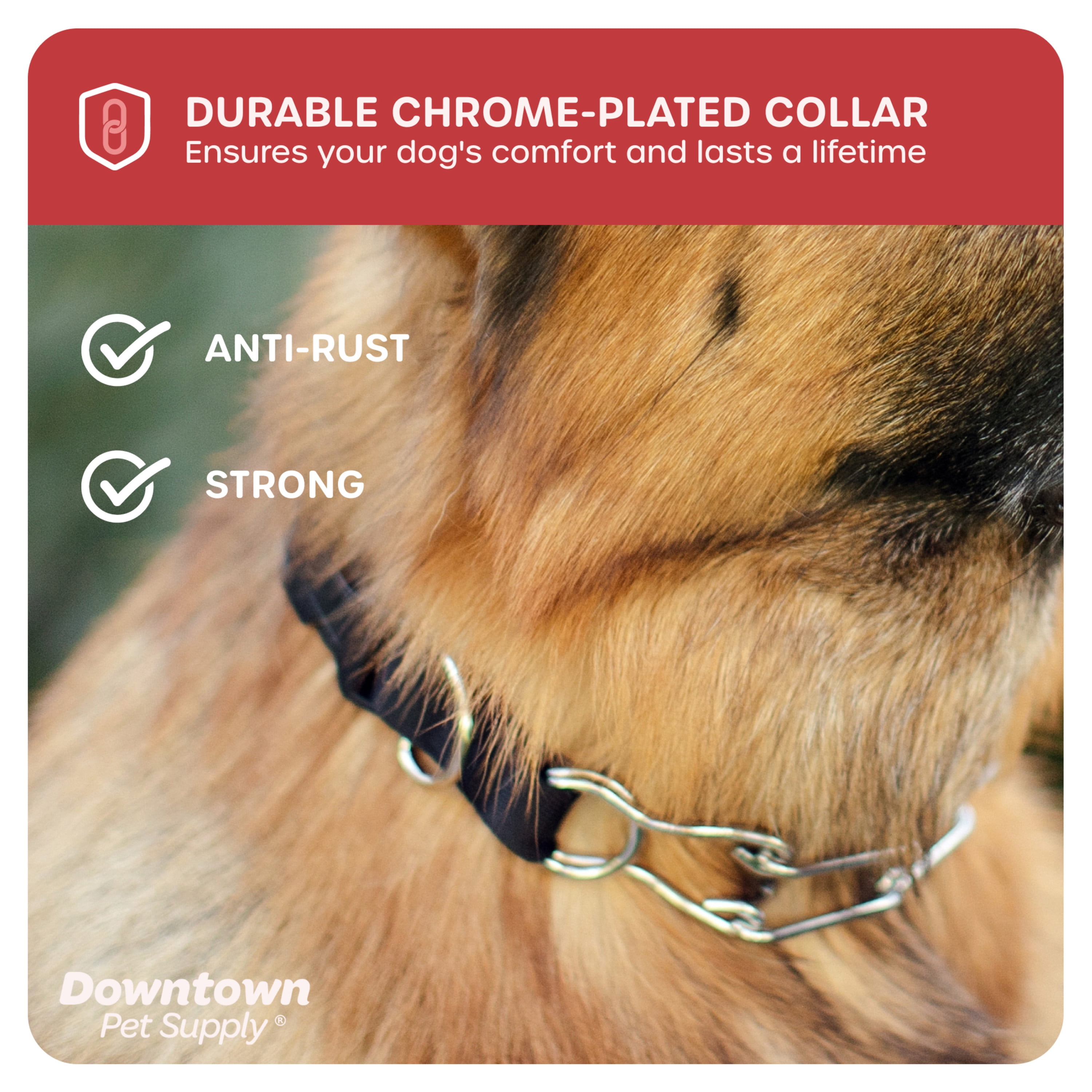 Leerburg Should I Use A Prong Collar On My Dog 40 OFF