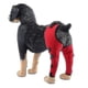 thumbnail image 2 of Protector de codos para perros LANNMXG almohadillas protectoras patas traseras tamaño ajustable pequeño, 2 of 5