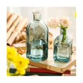 thumbnail image 5 of Transparent Creatives Hydroponic Glass Bottle Table Home Crafts Ornaments Flower Device, 5 of 5