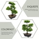 thumbnail image 3 of Árbol de bonsai artificial planta realista en macetas de bonsai planta en maceta adorno de bonsai, 3 of 6