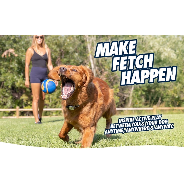 Chuckit! Fetch Medley Dog Ball Variety Pack, 3 Count photo 7