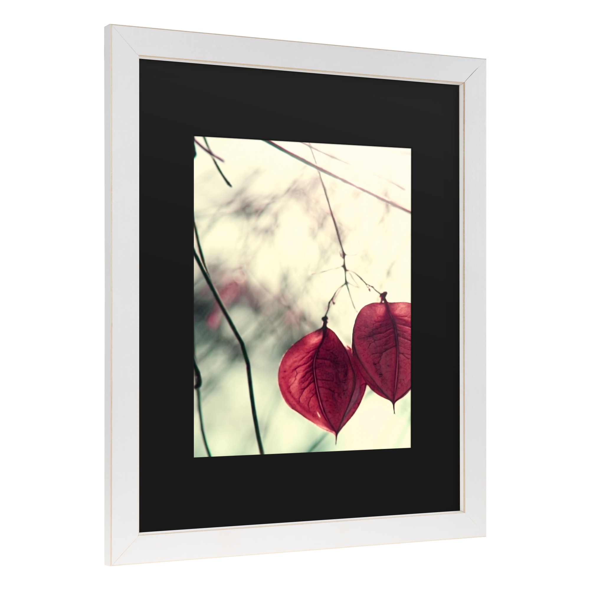 Trademark Fine Art 'Together' Canvas Art by Beata Czyzowska Young