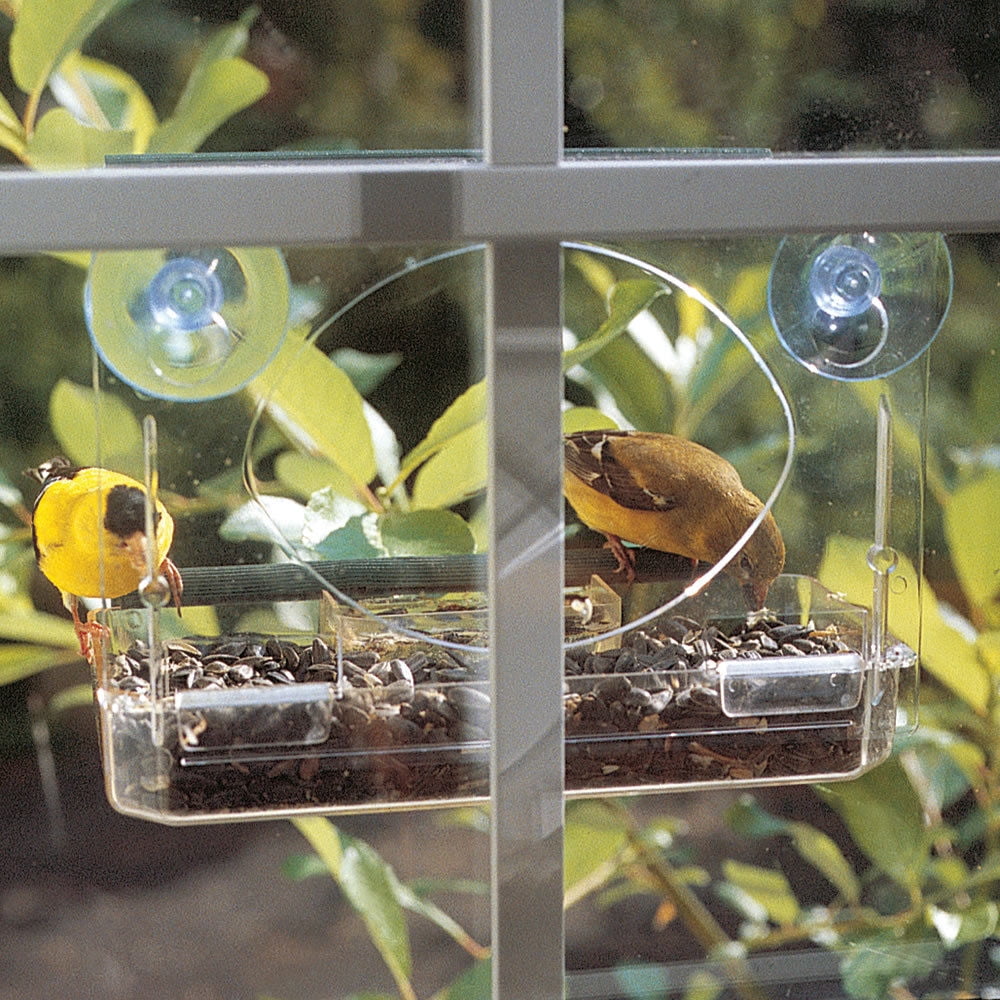 Window Mounted Bird Feeder