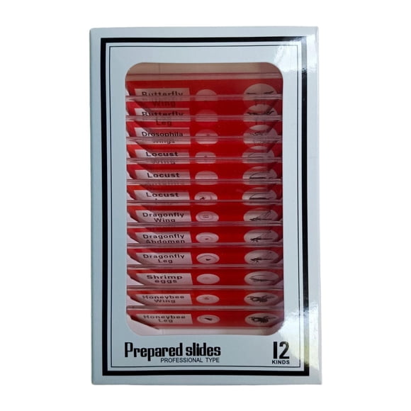 Milaget 12 Pcs Microscope Préparé Éducatif pour Enfants Maison Classe