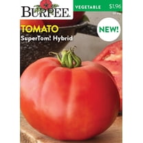 Burpee SuperTom! Tomato Vegetable Seed