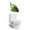 A◈100% refund and exchange service, variant on Toilet Bolt Caps, Decorative Toilet Bolt Covers, Ceramic Cute Frog Covers Toilet Bolts Bathroom Decor Easy installation Set of 2 (Green fish) Items