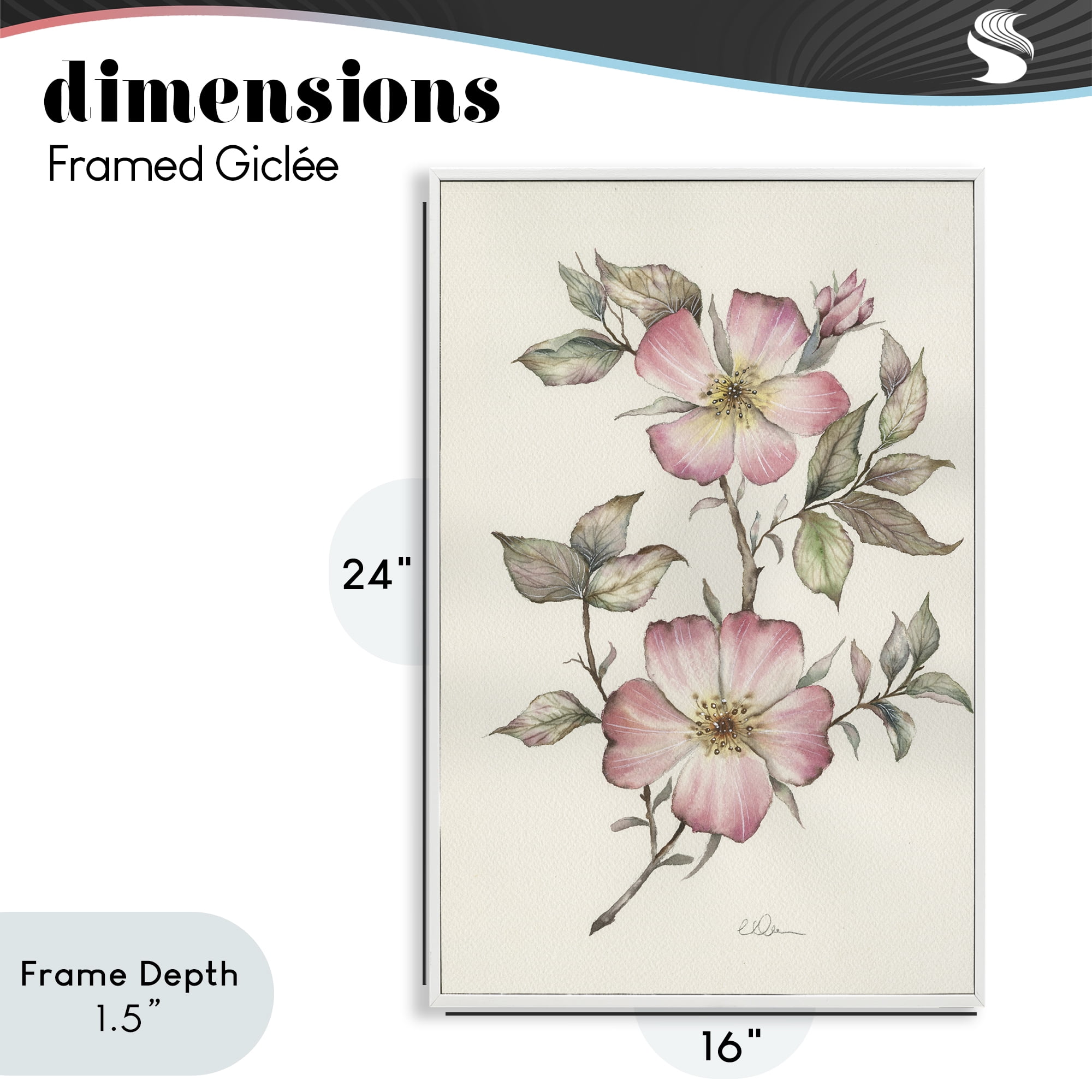 Stupell Industries Two Flowers Natural Study White Framed Giclee Art, design by Cady Driver