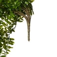 thumbnail image 6 of Vickerman 30" Artificial Green Buckler Fern Vine., 6 of 9