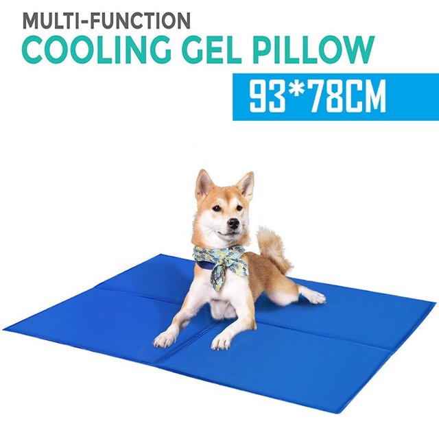 ISTAR Tapis Rafraîchissant pour Chien Taille TG Coussin Rafraîchissant pour Chat Couverture pour Chiot