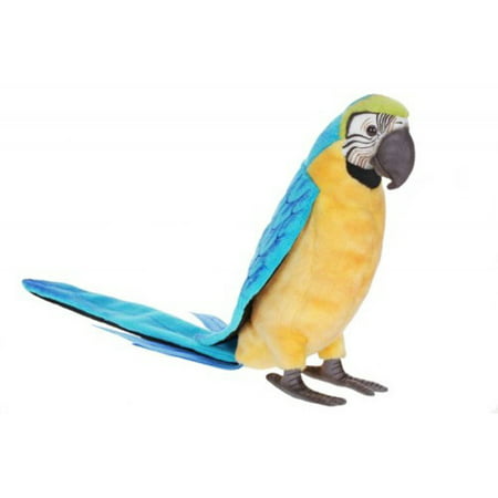 Blue And Gold Macaw Toys 83