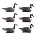 thumbnail image 1 of VEVOR Canada Goose Decoy Outdoor Goose Floater with Ultra Realistic Paint 6-Pack, 1 of 9