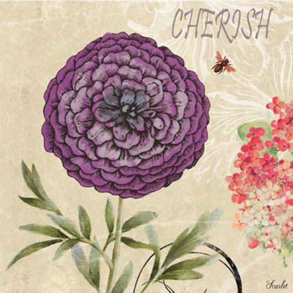 Cuadro Decorativo Yosemite Cherished Beliefs II