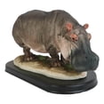 thumbnail image 3 of African River Common Hippopotamus Statue On Black Gallery Base 11"L Hippo Decor, 3 of 8