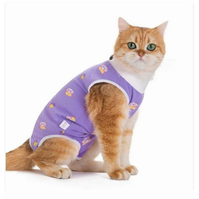 Hearth & Gear Collier de Récupération Post-Chat Alternative pour le Toilettage et le Confort pour Soins Post-Partum Vêtements de Protection Doux pour Chats Cintres pour Petits Chiens Vêtements pour Petits Chiens Vêtements pour Animaux de Compagnie Mâles