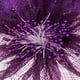 thumbnail image 3 of Pluma pinza de pelo,fascinador de plumas,Headwear nupcial,flor Celada, 3 of 5