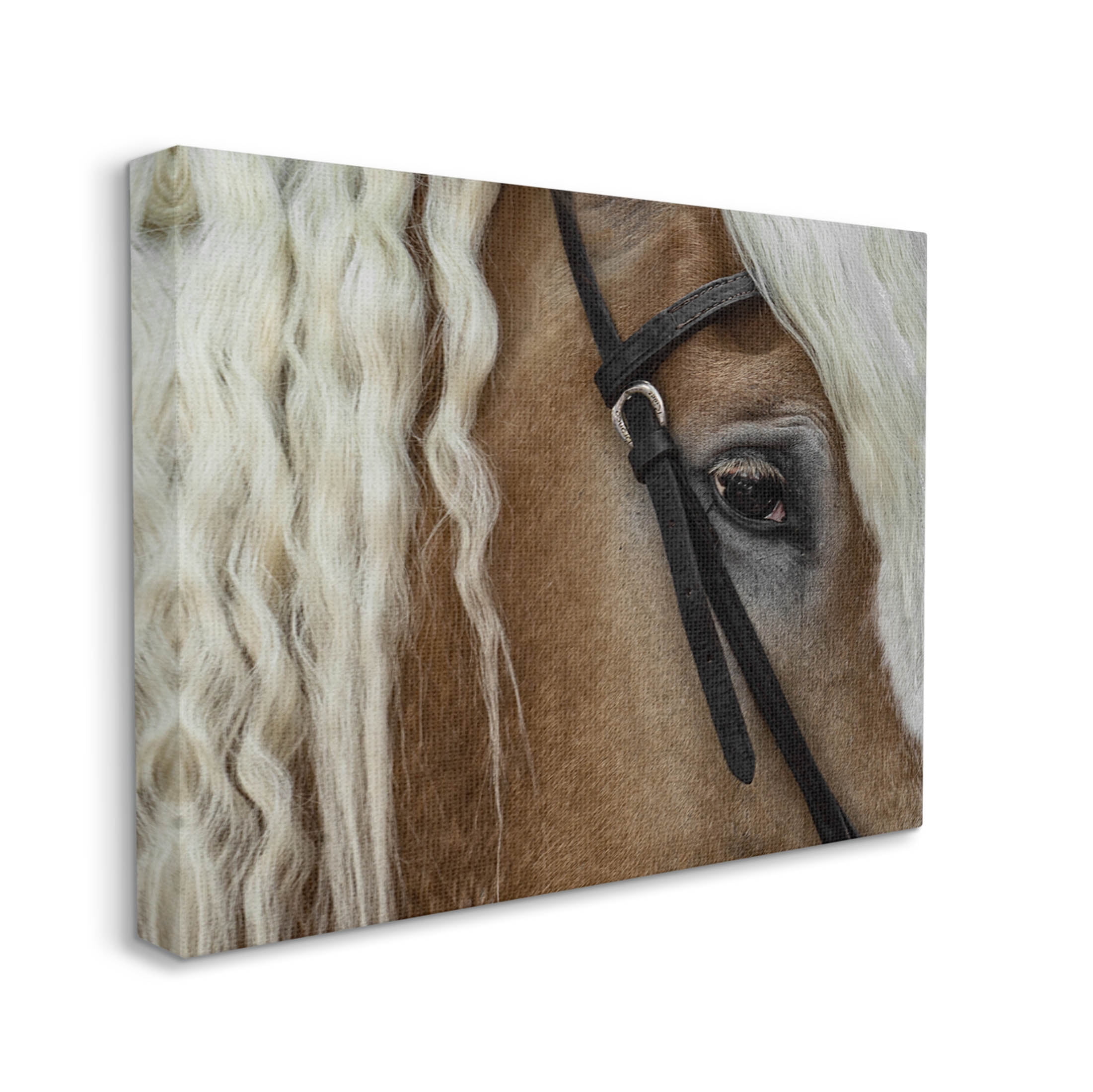 Stupell Industries Blonde Palomino Horse Portrait Photograph Gallery Wrapped Canvas Print Wall Art, Design by David Lorenz