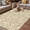 Tan, variant on Grey Spring Floral Outdoor Rug for Patio/Deck/Porch, Non-Slip Large Area Rug 3 x 5 Ft, Farmhouse Flowers Elegant Pastoral Indoor Outdoor Rugs Washable Area Rugs, Reversible Camping Rug Carpet Runner