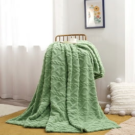 Godzilla blanket walmart hotsell