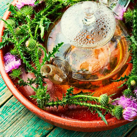 Eden Brothers Milk Thistle Seeds