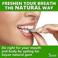 Sugar All Natural Gum, Siberian Larch Tree Resin and Beeswax Chewing Gum for Breath, Vegetarian