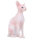 thumbnail image 1 of Decoración De Modelo De Gato Sin Pelo,Simulación Modelo De Gato Sin Pelo Simulación Modelo De Gato Sin Pelo Modelo De Gato Sin Pelo Adorno Calidad Inigualable, 1 of 8