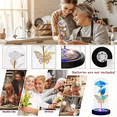 thumbnail image 4 of FTCBJJA Preserved Rose Flower Qixi Galaxy Butterfly Colorful Flower Gifts Valentine's Day,Birthday Anniversary Wedding, 4 of 7