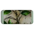 Facannap Dragonfly Plant NonSlip Durable Square Door Mat for Home