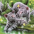 thumbnail image 3 of Yuarrent 5D diamante pintura bordado Animal Tigre imágenes diamantes de imitación cuadrado completo punto de cruz animales diamante mosaico regalo Artesanía 2 # Yuarrent JJ15626-03, 3 of 6