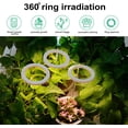 thumbnail image 3 of Led Grow Light Full Spectrum - Small Plant Grow Lights Indoor Ring Flower Fill Light Adjustable Angel Ring Plant Growth Lamp Automatic Timer for Small Plant Lights, 3 of 8
