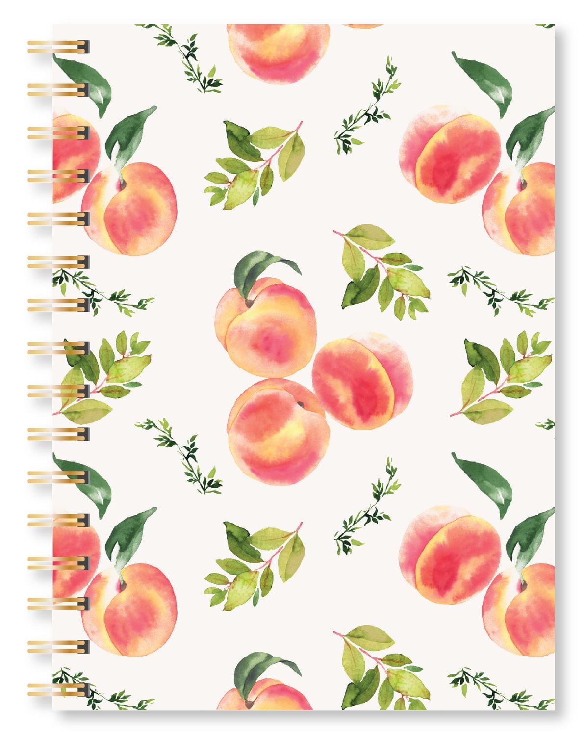 Markings By C.R Gibson Peaches Print Medium Bound Journal
