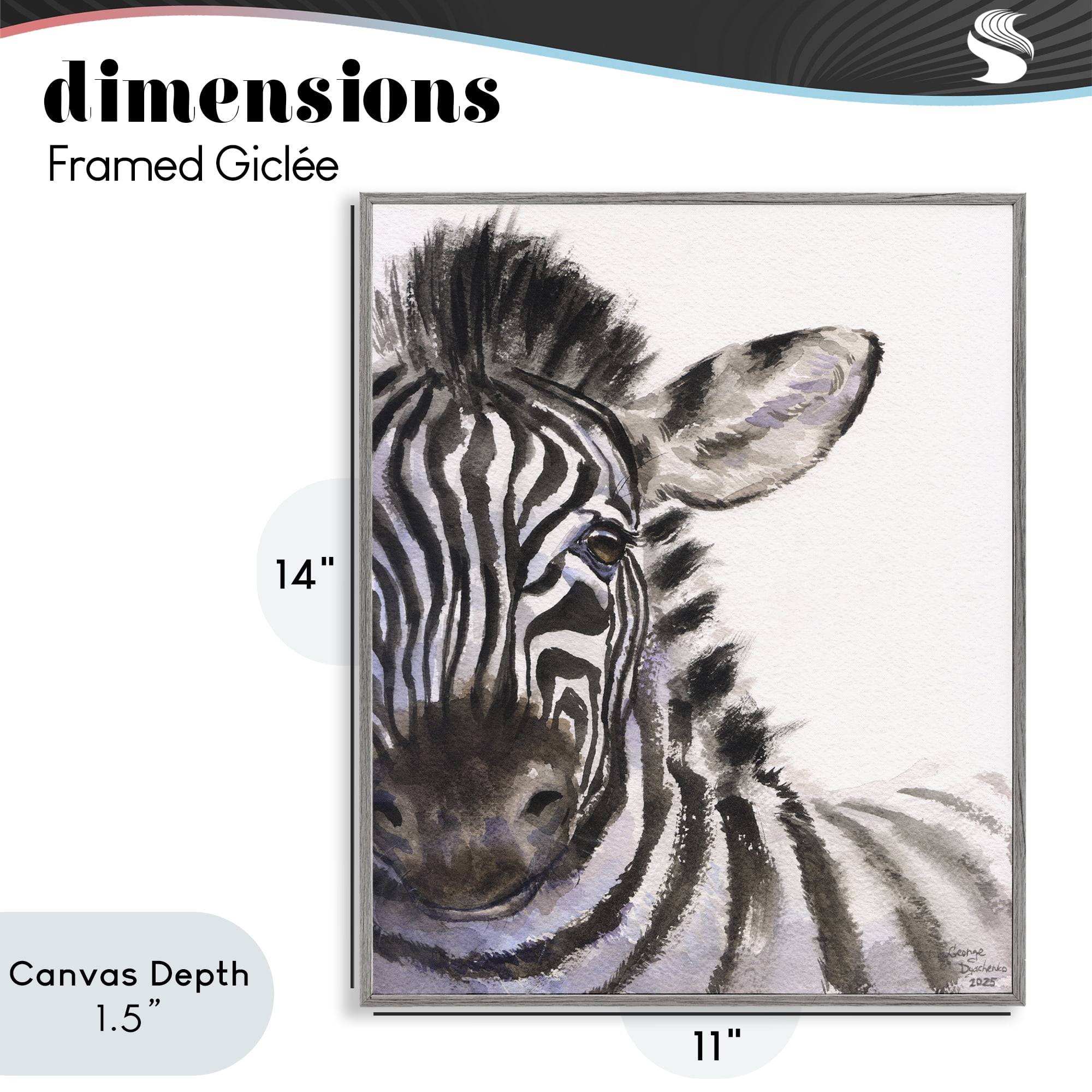 Stupell Industries Zebra Portrait on White Gray Framed Giclee Art, design by George Dyachenko