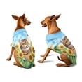 thumbnail image 3 of Exotic Shorthair Hello Summer Sunshine Sunflowers Spring Retro Vintage Hawaiian Summer Shirt for Small Medium Large Dog Cat Cat Lover Kitten Owner Gifts - 00008, 3 of 6