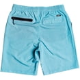 thumbnail image 2 of Quiksilver Men's Suva Amphibian 20 Walkshorts, 2 of 2