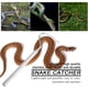 thumbnail image 2 of Gancho para serpientes - blanco, 2 of 5