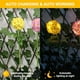thumbnail image 4 of Luces solares de flores decorativas para exteriores, luces solares impermeables de crisantemo para exteriores, 4 of 5