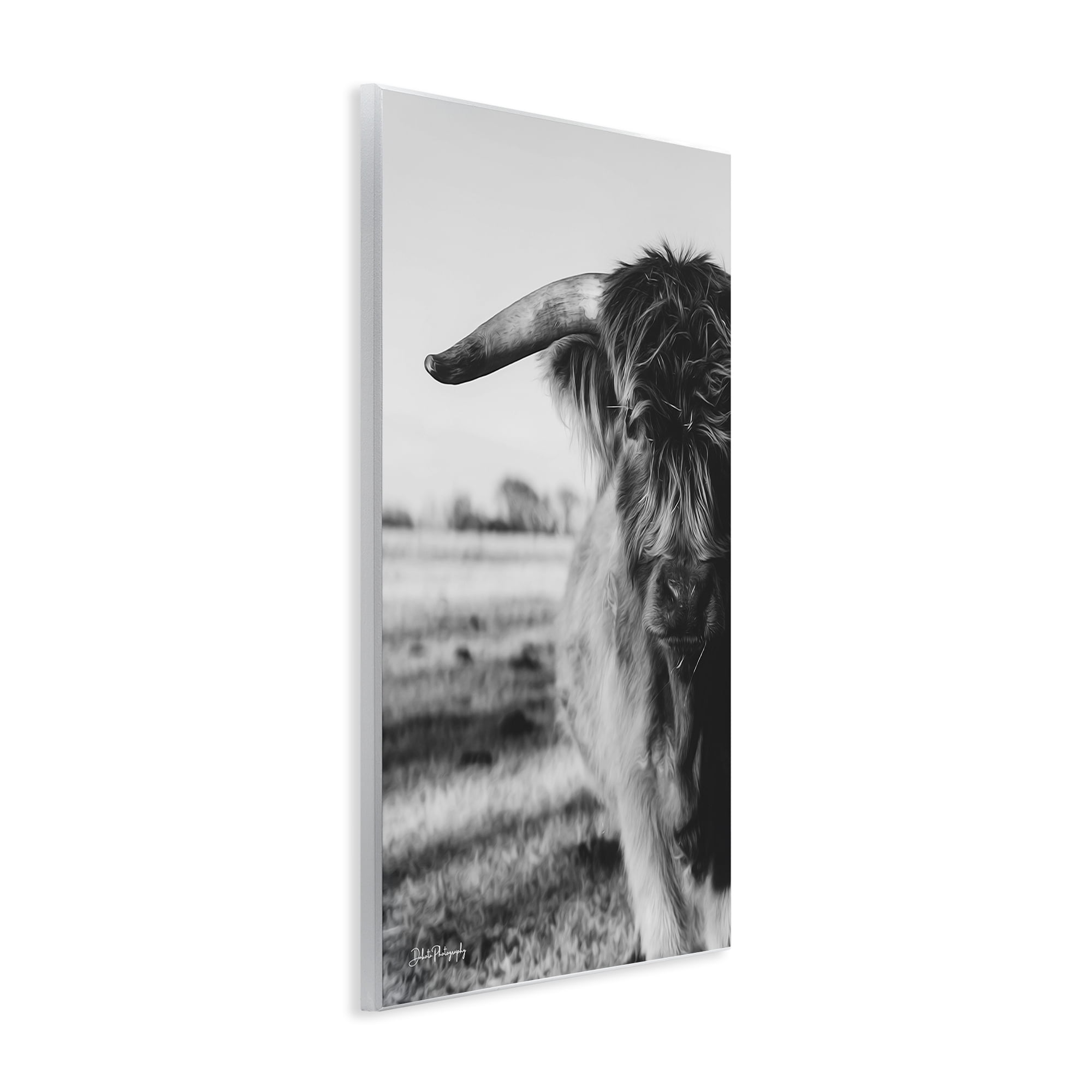 Stupell Industries Baby Cattle in Monochrome Wall Plaque Art, design by Dakota Diener