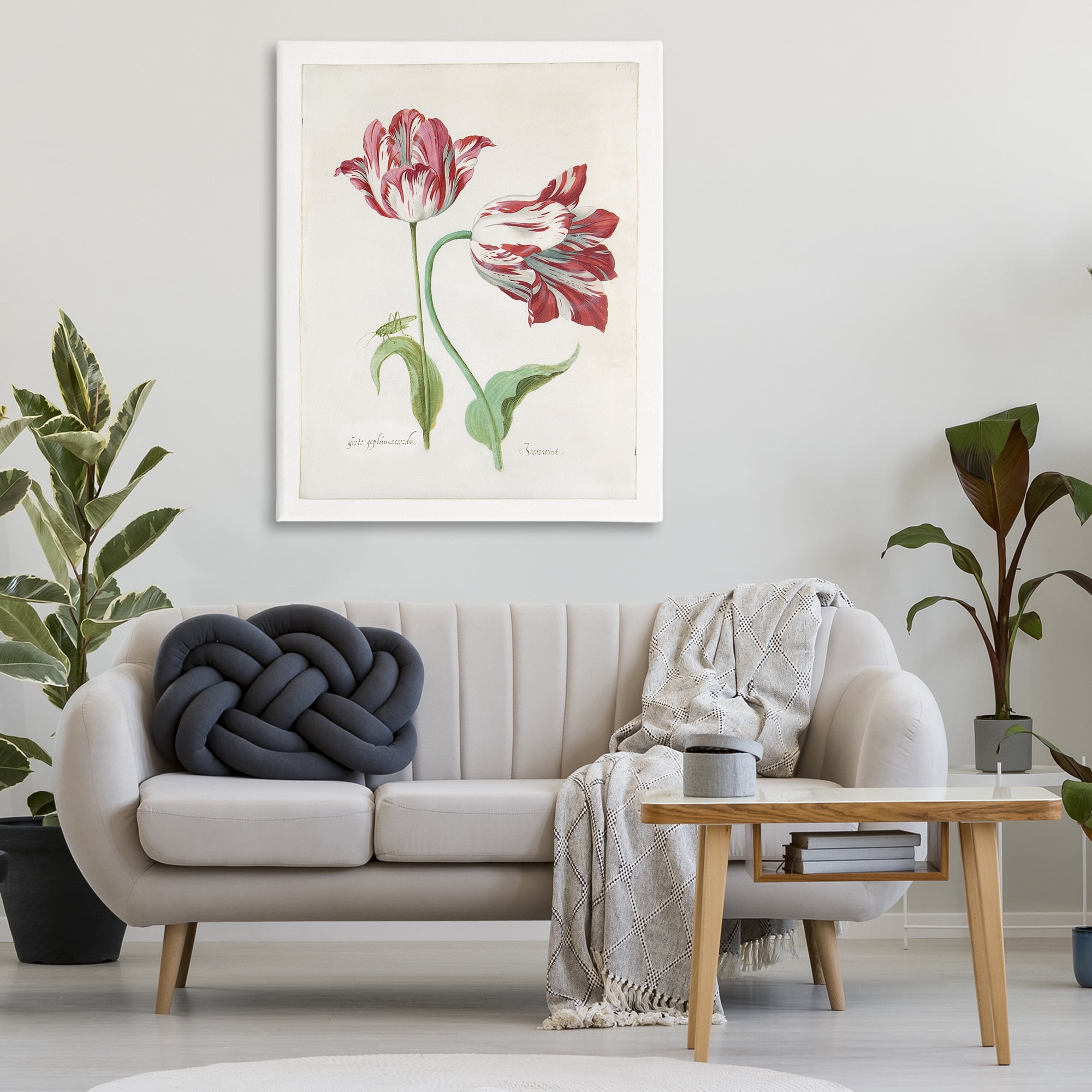 Stupell Industries Classic Tulip Study Plants & Flowers Painting Wrapped Canvas Art Print Wall Art, 36 x 48