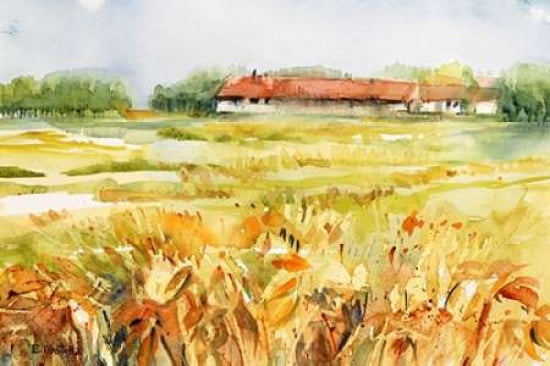 Campagna Lombarda C