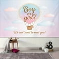 thumbnail image 4 of Bear Gender Reveal Backdrop Cute Hot Air Balloon Boy or Girl Reveal Photography Background Pastel Pink Blue Clouds Newborn Baby Shower Party Decorations Banner Supplies Photo Booth Props, 4 of 6