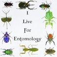 thumbnail image 2 of CafePress - I Live For Entomology 1 Infant Bodysuit - Baby Light Bodysuit, Size Newborn - 24 Months, 2 of 4