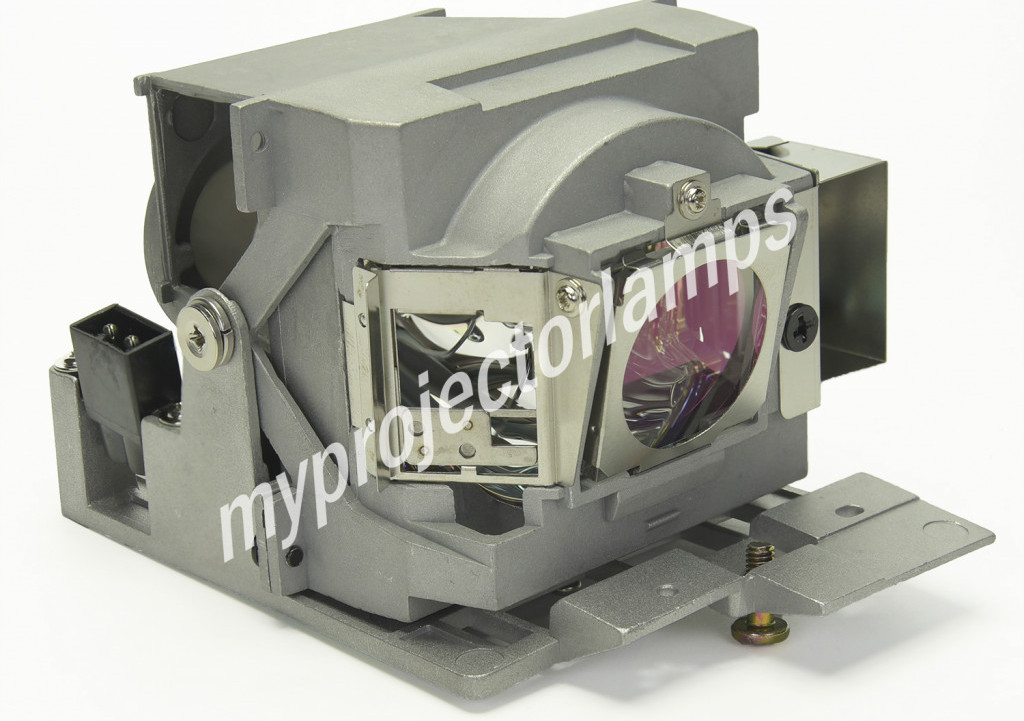 Benq 5J.JDP05.001 Projector Lamp with Module - image 1 of 3