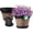 13 inches, variant on Plant Pots Set of 4 Pack 12 inch,Large Whiskey Barrel Planters with Drainage Holes & Saucer.Plastic Flower Pots Imitation Wine Barrel Design, for Indoor & Outdoor Garden Home Plants (Brown)