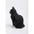 thumbnail image 3 of Hi-Line Gift Ltd. Sitting Cat Statue, 3 of 5