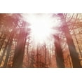 thumbnail image 2 of PI Studio 32x23 Black Ornate Wood Framed with Double Matting Museum Art Print Titled - Sun Dance, 2 of 4