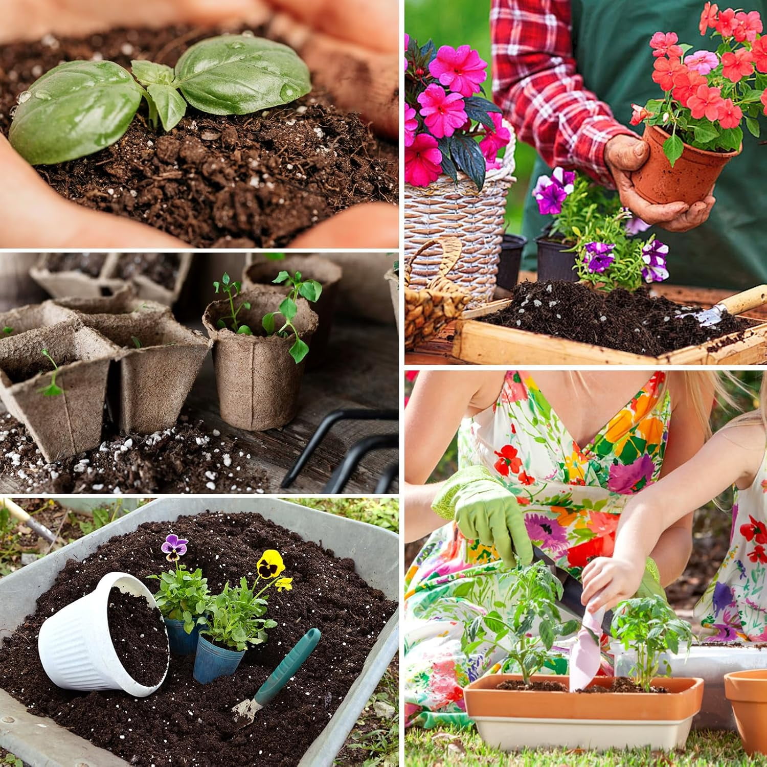 10QT Indoor Potting Soil for Plants Orchid Potting Mix Garden Top Succulent Bonsai Soil for Aloe Vera Houseplants Flowers Vegetables & Herbs