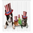 thumbnail image 3 of Ambesonne Fourth of July Shower Curtain, American Pets, 69"Wx75"L, Multicolor, 3 of 3