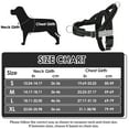 thumbnail image 6 of TSYKHAIA No Pull Dog Harness and Leash Set - Adjustable Vest with Soft Padding, Reflective Escape-Proof for Easy Walking and Training, 6 of 8