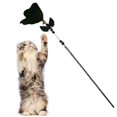 thumbnail image 1 of Cat Bell Wand Interactive Wing Retractable Cat Feather Teaser Kitten Teaser Toy, 1 of 10