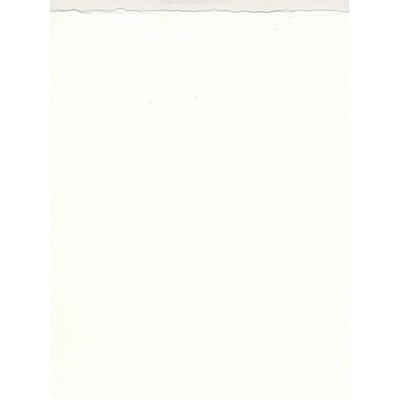 Artistico Watercolor Paper extra white, 140 lb. cold press, 22 in. x 30 in. (pack of 10)