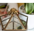thumbnail image 5 of Robe Factory RBF-16684-C Harry Potter Gold Chocolate Frog Jewelry Box Storage Case Organizer, 5 of 7